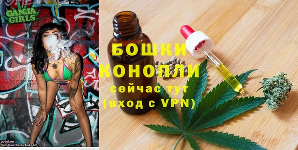mix Богородск