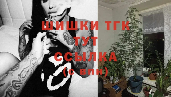 гашик Баксан
