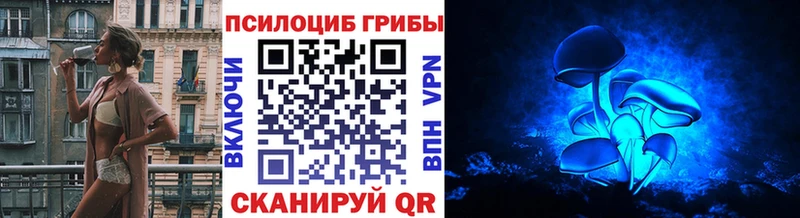 ссылка на мегу рабочий сайт  Сердобск  Псилоцибиновые грибы Psilocybine cubensis  магазин   