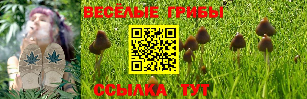 Галлюциногенные грибы GOLDEN TEACHER Сердобск