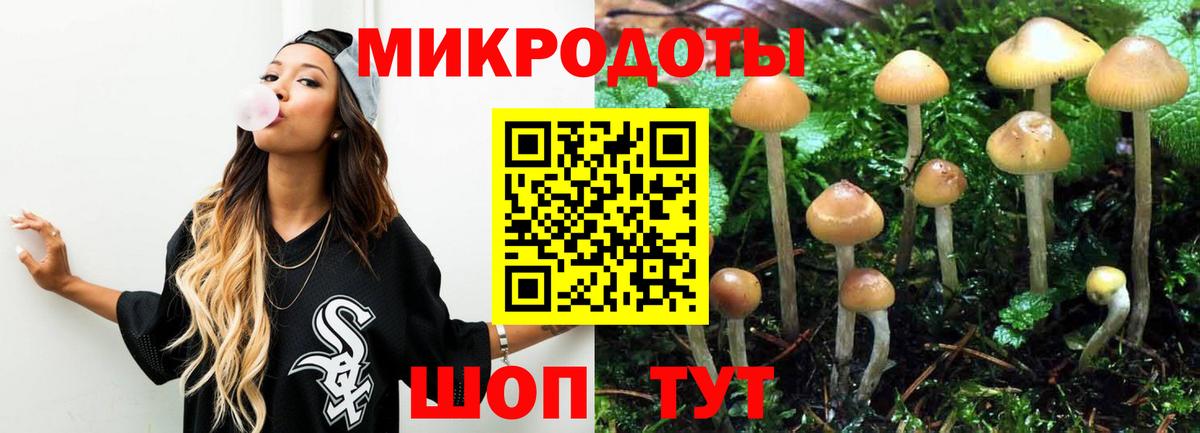 Галлюциногенные грибы Psilocybe  Вход с VPN  Сердобск 
